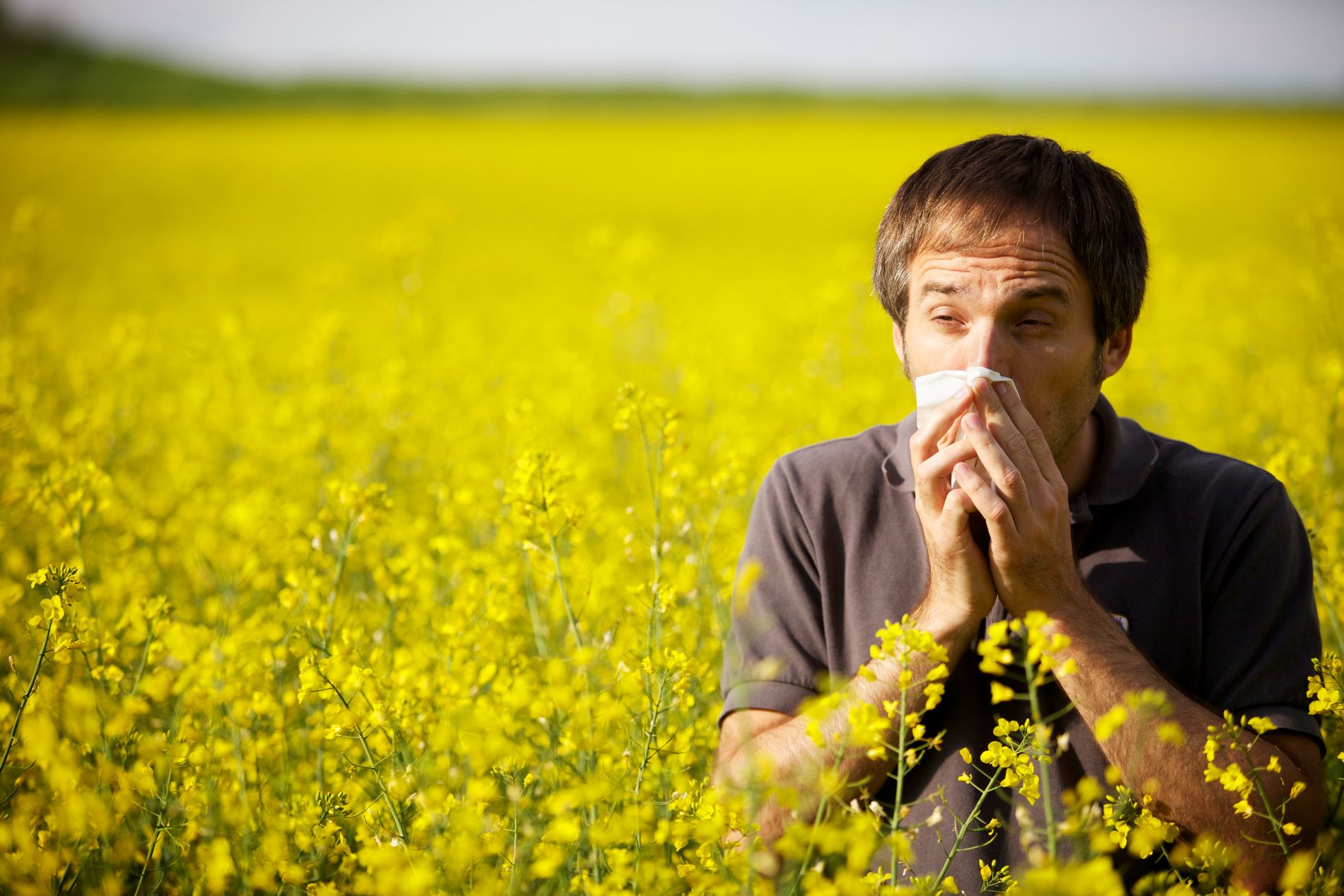 hay fever and hearing loss